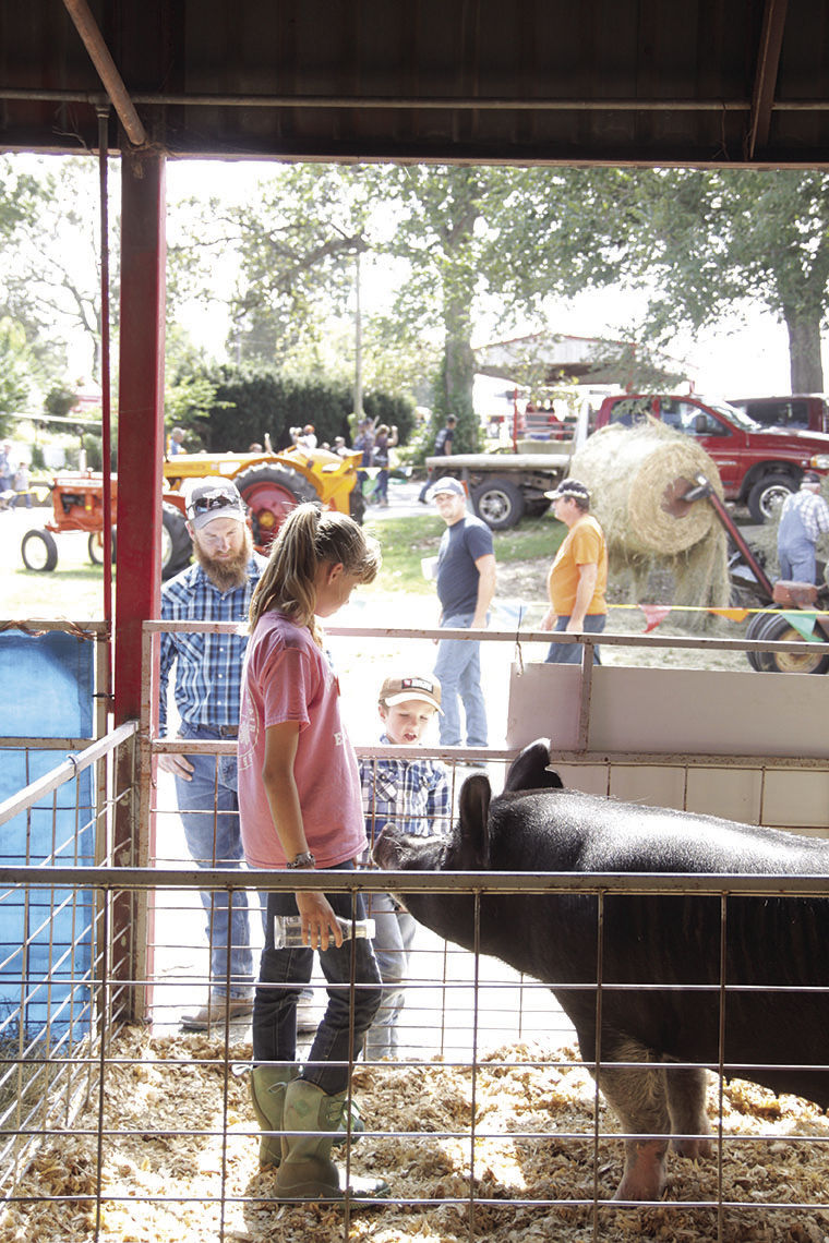 2019 Ozark Fall Farmfest